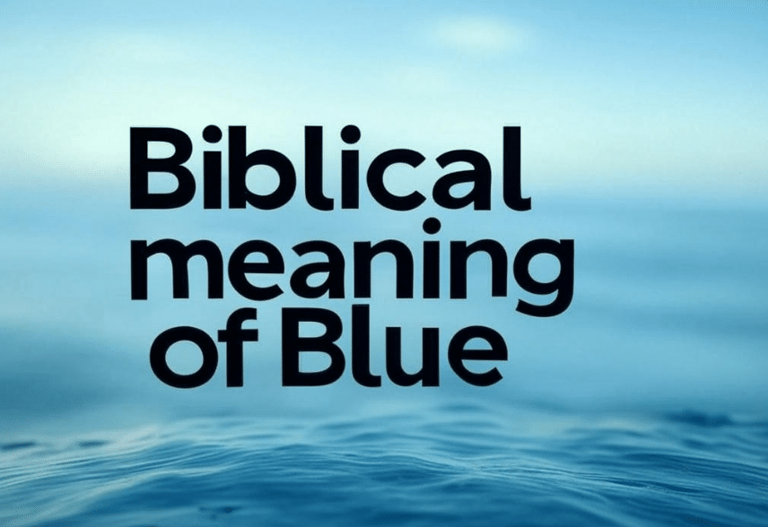 Biblical meaning of 11